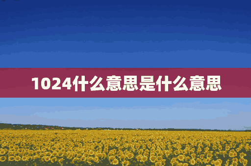 1024什么意思是什么意思(1024什么意思是什么意思啊)